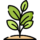 planta